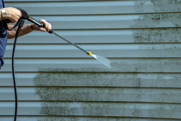 Best Pressure Washing Company Near Me  in Brookland, AR